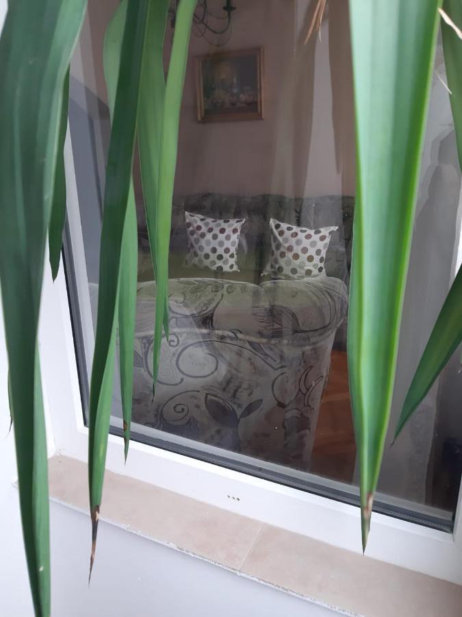 Pelican Proxy Apartment オラデア エクステリア 写真