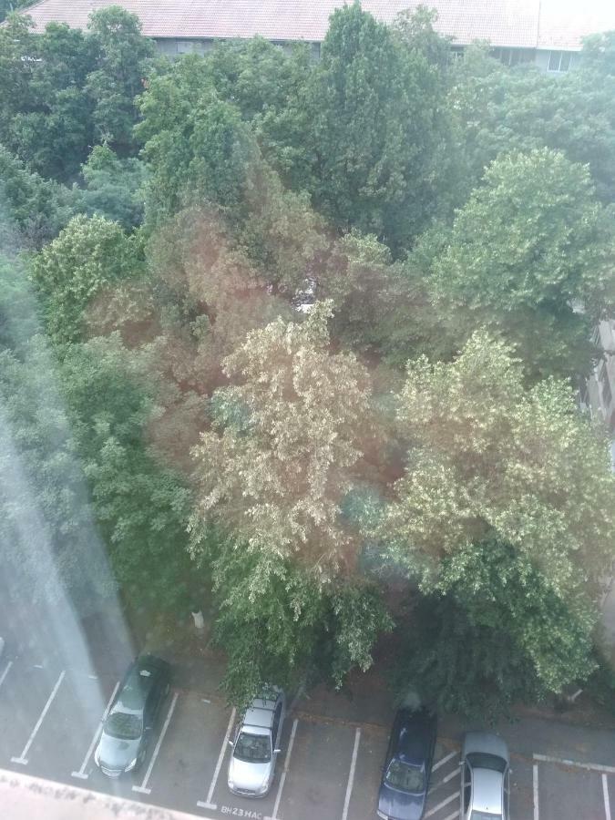 Pelican Proxy Apartment オラデア エクステリア 写真